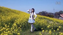 Kawaii japanese girl dance Yellow