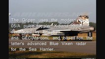 JAS-39 Gripen vs. Dassault Rafale