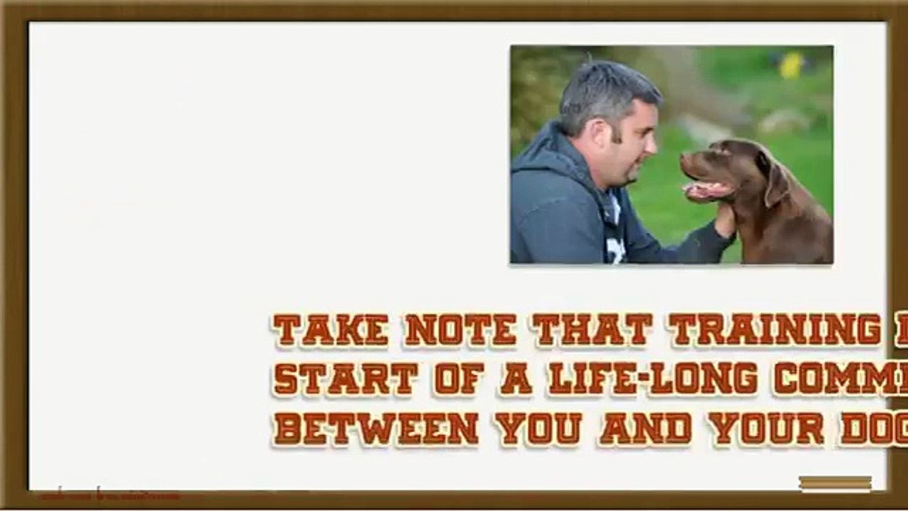 How to Train Your Labrador Retriever Puppy Plus Easily Potty Train Your New Labrador Retriever Puppy