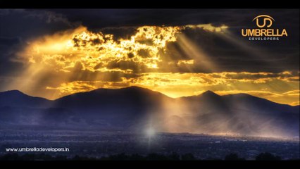 Umbrella Developers: Rethinking Land Investment 🌂