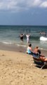 Des gens se baignent avec des cages anti-requin faites maison - Fou
