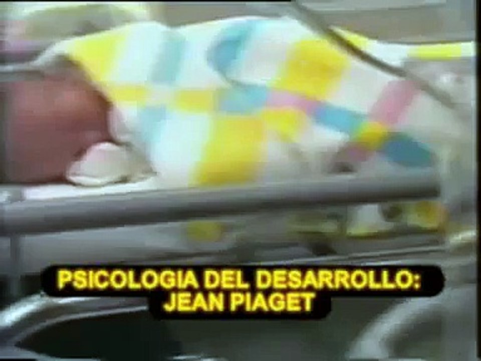 permanencia del objeto - psicología del desarrollo
