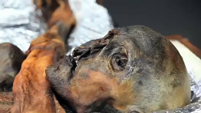 رجل من العصر الجليدي