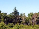 Kent Hills Wind Farms, Wind Power, Wind Turbines in New Brunswick