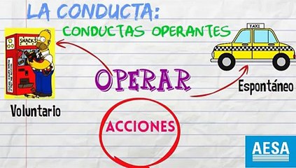 Diferencias Entre El Condicionamiento Clásico y Operante