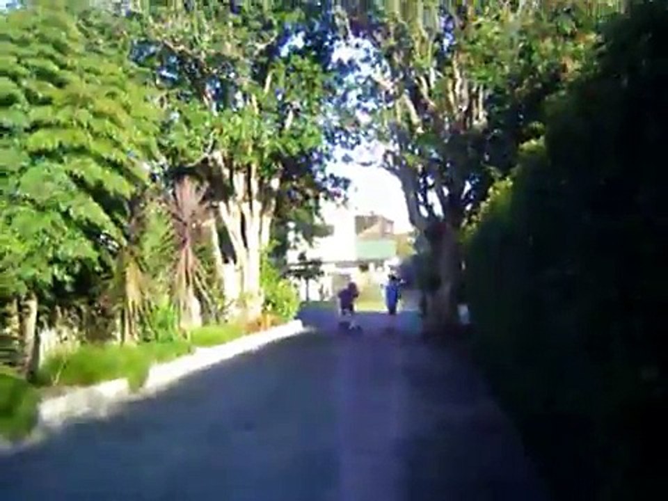 extreme jackass  junior