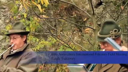 A caccia con le aquile in Austria