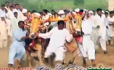 jalsa mured chakwal saien muhammadi 2015