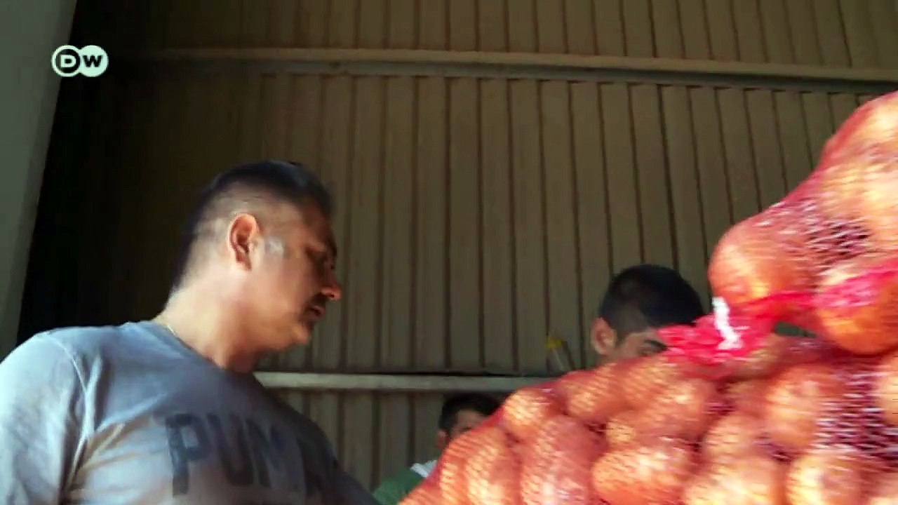 Griechenland - Agrarwirtschaft vor dem Ruin | Made in Germany