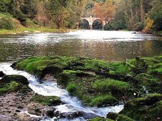Paysage de l'Irlande.