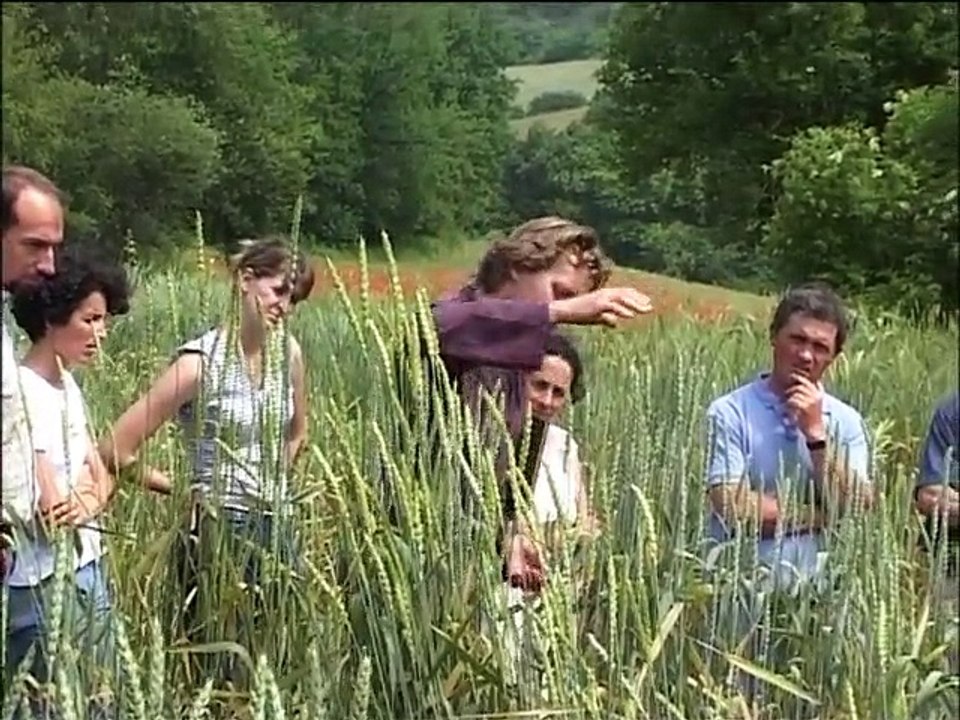 Semences  de VIE   V  55'  Le travail d'un paysan ,  boulanger Bio!
