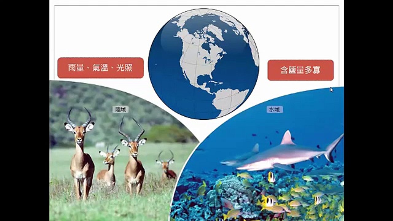5 4 認識生態系 1