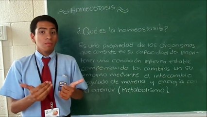 Biologia Homeostasis