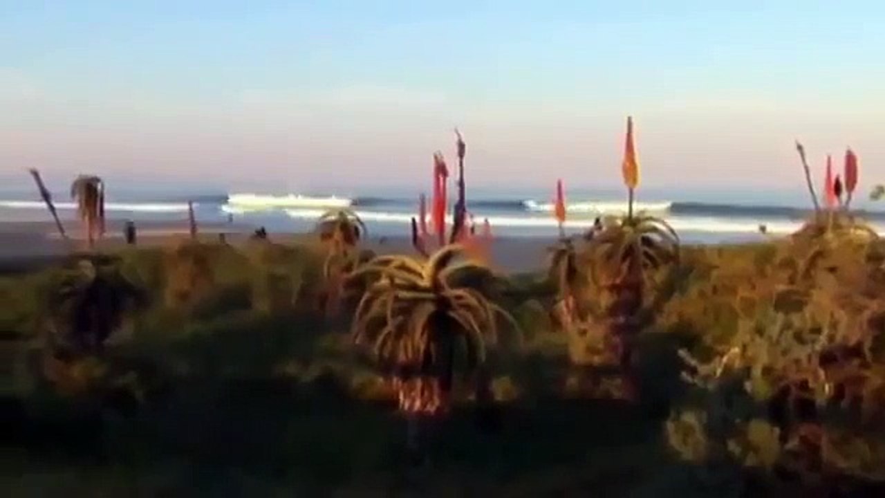 Great White Shark Attacks on Humans Caught On Tape 480p
