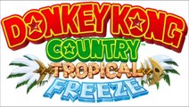 Donkey Kong Country Tropical Freeze Music; Ocean (Aquatic Ambience remix)