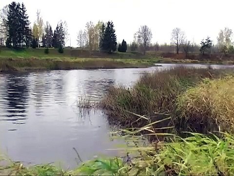 Piesārņojums, kas izraisījis zivju bojāeju Ičas un Aiviekstes upēs, varētu ieplūst arī Daugavā