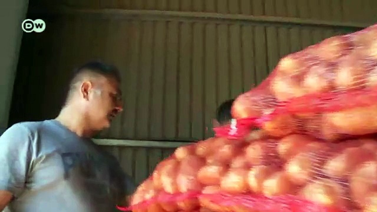 اليونان - القطاع الزراعي على حافة الهاوية