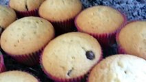 Muffins de vainilla con chispas de chocolate