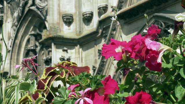 Cathédrale de lumière - Toul 2015