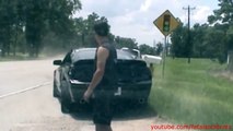Mustang Driver Pulled Over for Speeding Worst Day Ever