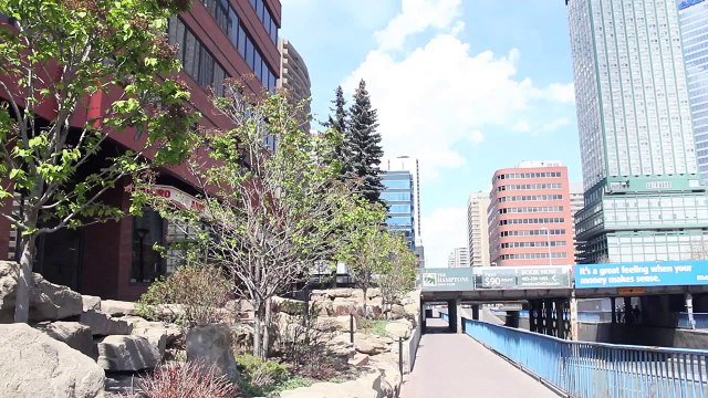 Calgary Alberta Canada Tourism | Downtown Calgary (The Calgary Zoo) | Travel Guide Tour Video