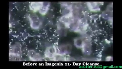 Isagenix blood cells before and after cleanse video Live blood analysis