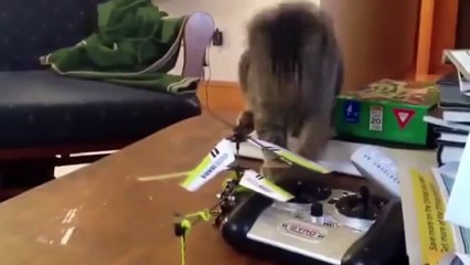 Eden bulur lafının 17 ispatı