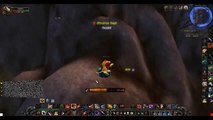 Cataclysm: World Of Warcraft Pirox Bots PVE & PVE Functions