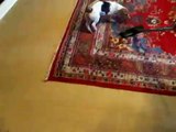 crazy dog barking at vacuum cleaner