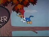 El Pajaro Loco o Loquillo (Woody Woodpecker) - Intro Opening (Español latino)