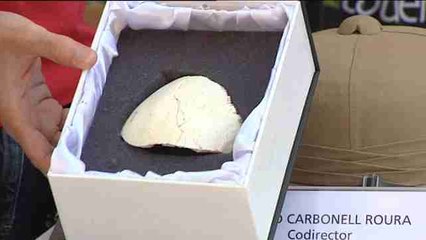 Atapuerca revela restos de cráneos de homínido de más de 400.000 años