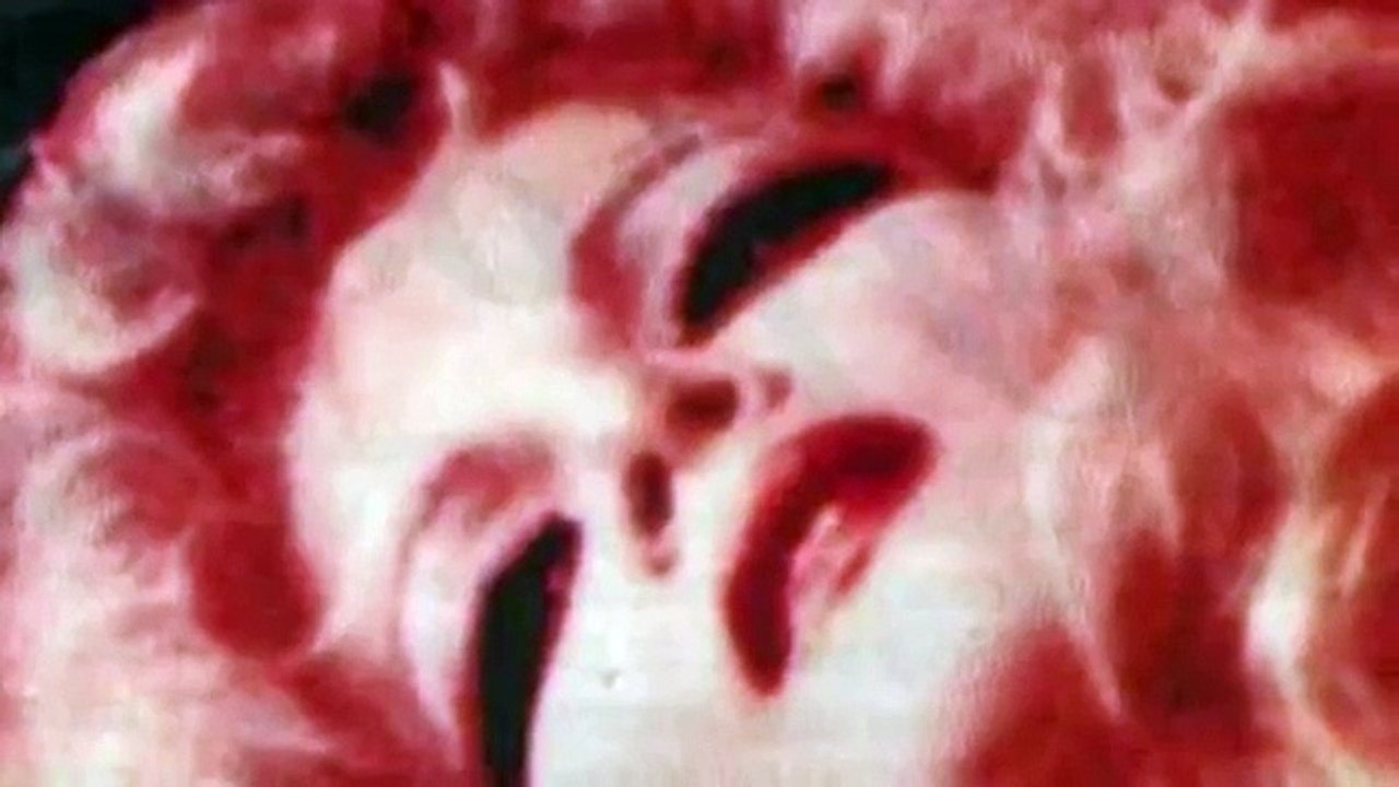 Kochaj mnie, a będę twoją, VV & Kazik