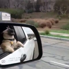 cuando te miras por el espejo