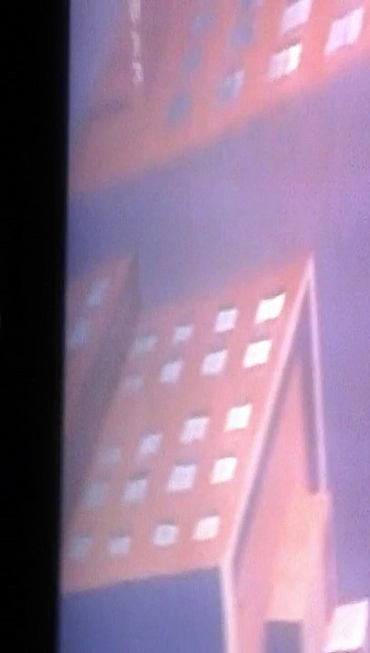 Sylvester  and  tweetie