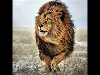 Blacko - Que Dieu me pardonne