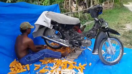 Adam Mısırı Bakın Nasıl Ayıklıyor