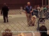 2006 AKC National Obedeience Invitational - Third