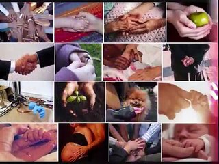 Filme sexualidade e diversidade