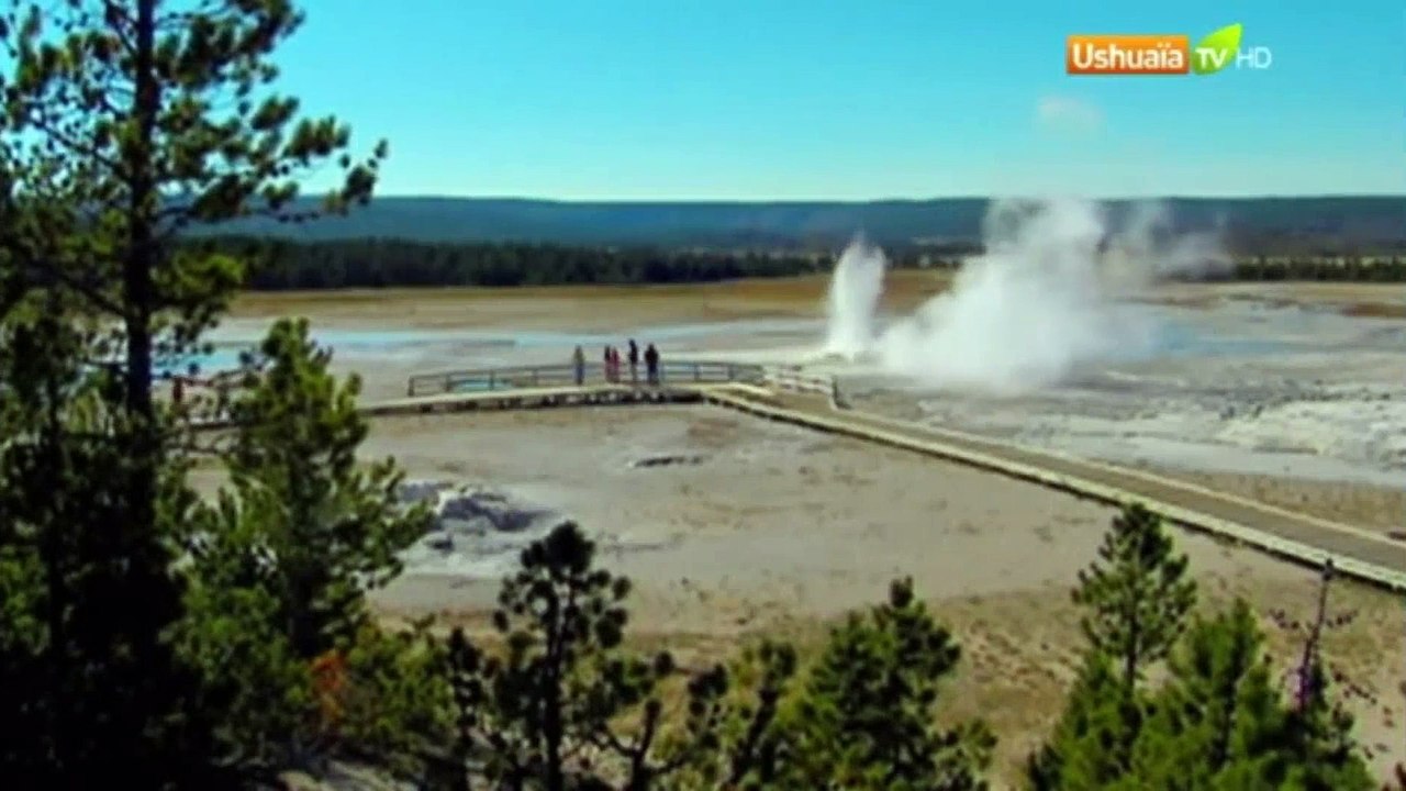 Planète Terre, aux origines de la vie - Saison 1 - EP 13/13 - Le Parc de Yellowstone