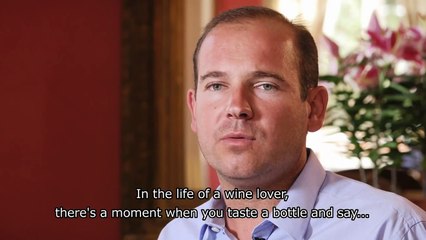 A Year in Champagne Official Trailer 1 (2015) - Documentary HD