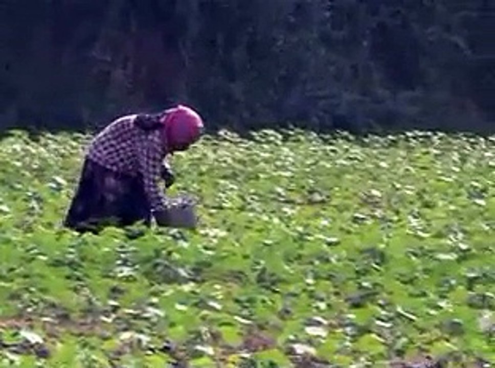 Ahmedabad Sujalam Sufalam scheme farming from farm ponds