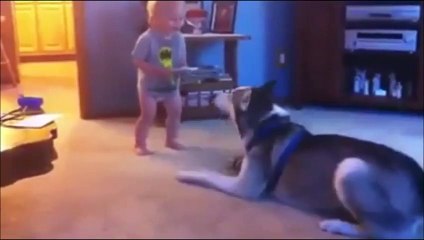 Episode 9- recopilacion virales