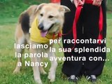 NANCY: NOI CANI DI CANILE A SPASSO PER ROMA