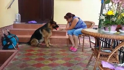 Funny Pranks Funny Videos Best Pranks Funny Fails Funny Clips 2015 #3