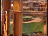 Cómo se hace: Ence fabrica pasta de papel y biomasa en la fábrica de Pontevedra