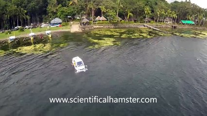 H2O Salamander