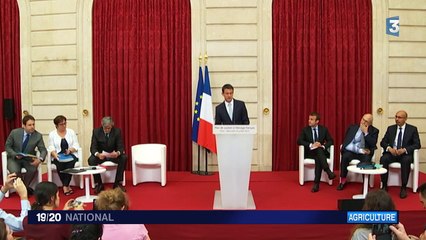 24 mesures et 600 millions d'euros débloqués : le plan du gouvernement pour mettre fin à la crise des éleveurs