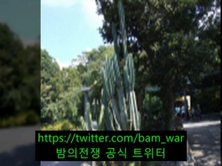 밤 문화 유흥 궁금증 해결사 대청동키스방 〈서초키스방 시크릿〉「 밤전 」こ사상구키스방