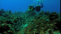 The best places for inexpensive SCUBA diving vacations