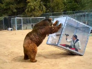 Predator Shield Demo for Japanese TV